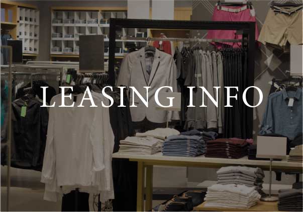 Leasing Info